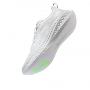树标 轻舒2.0V2
