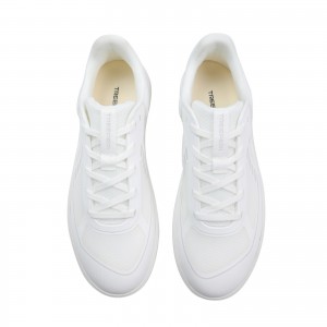 树标 T95